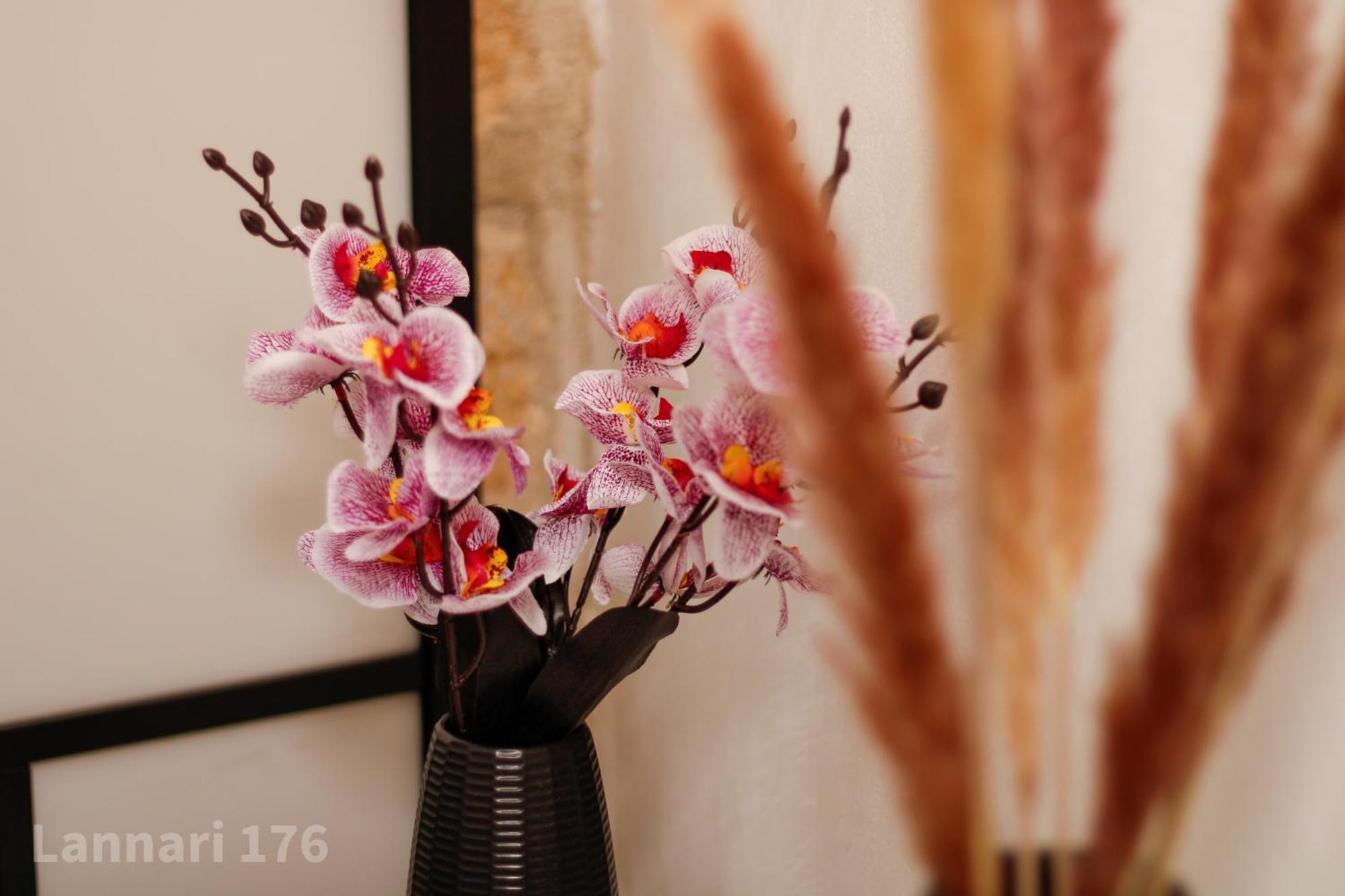 Lannari 176 Casa Vacanze 巴格里亚 外观 照片